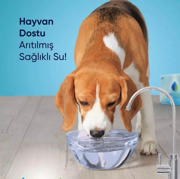 WhatsApp Image 2025-06-01 at 20.51.04 (1)